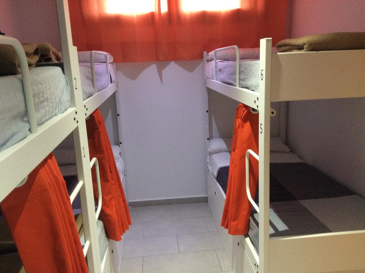 Vandrerhjem Hostelscat *